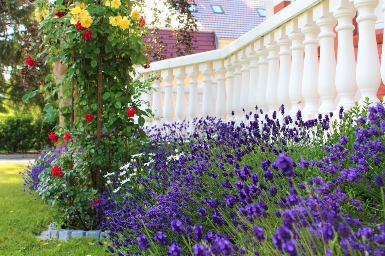 Rosen Villa คัพเพล์น ภายนอก รูปภาพ